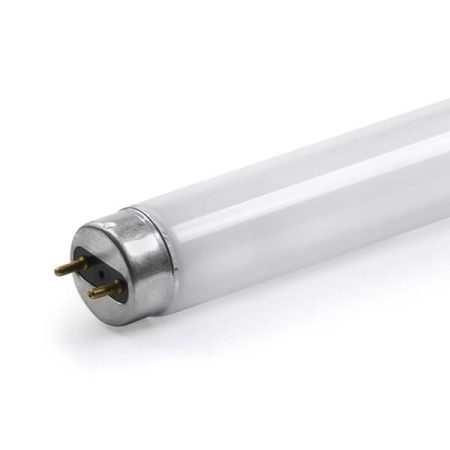 Fénycső 40W rovarcsapdához – M308E, M7298, M397